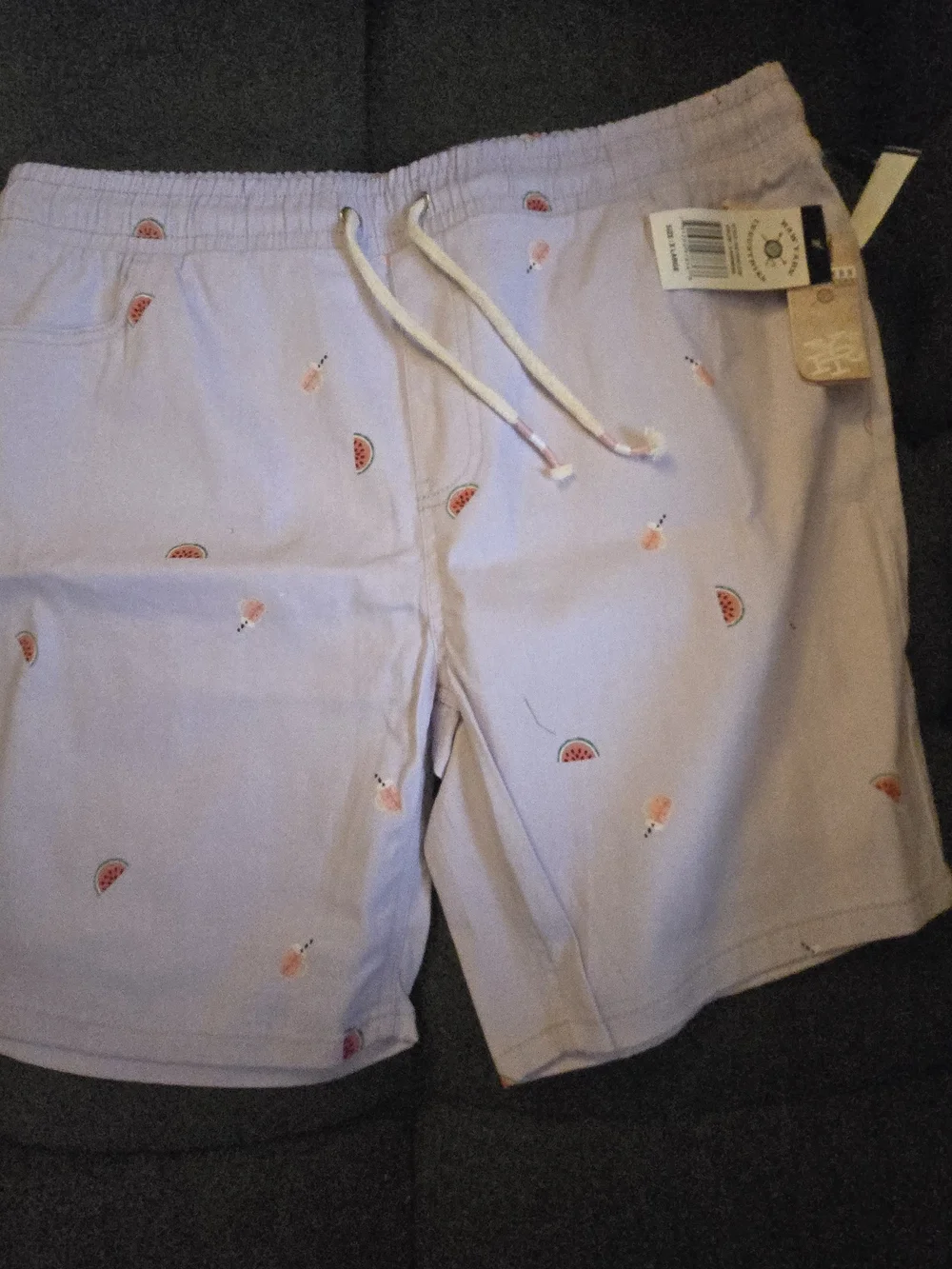 Men's Light Lavender Printed Drawstring Shorts